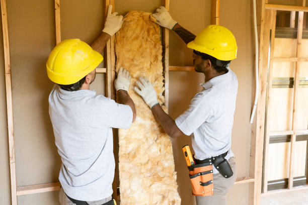 Best Cellulose Insulation  in Bellmore, NY