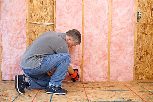 Best Energy-efficient Insulation  in Bellmore, NY